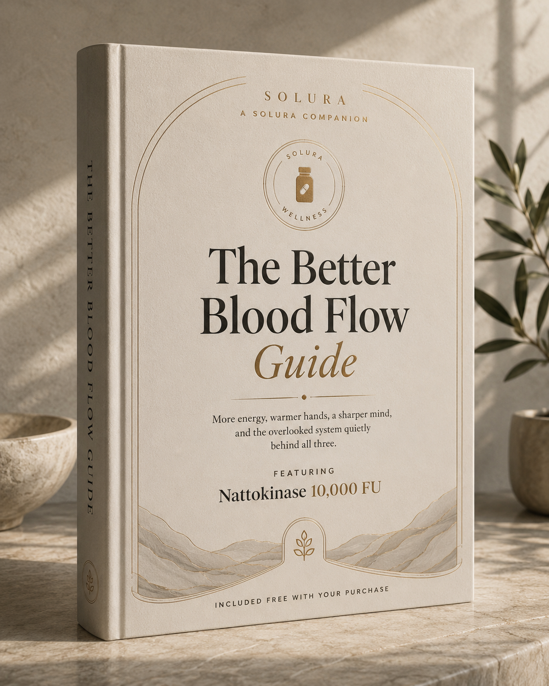 Better Blood Flow Guide by Solura
